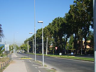 <span class="mw-page-title-main">La Reina</span> City and Commune in Santiago Metro., Chile