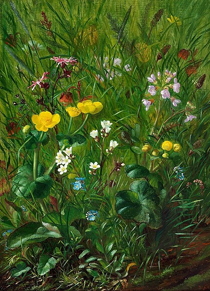 File:Baadsgaard-alfrida-ludovica-vi-forest-floor-with-summer-flowe.jpg