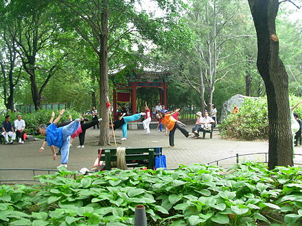 Exercising in Purple Bamboo Park