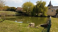 Lebendes Wasserbecken.jpg