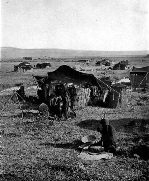 File:Bedouin tents 1912.jpg