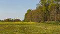 Bekhofplas. Een waardevol natuurterrein van Staatsbosbeheer in de provincie Friesland.