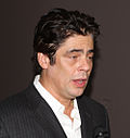Benicio del Toro 3, 2012.jpg
