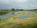 Berges Escaut lagunées 2011 juillet b.jpg