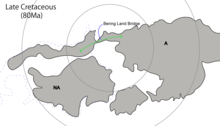 North America and Asia were sporadically connected during the Cretaceous Period Bering Land Bridge in Late Cretaceous.png