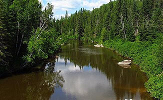 Blanche River, looking north from Pacaud Chamberlain Boundary Road in Krugerdorf