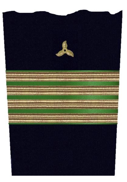 File:Bocamanga de Coronel de Máquinas de la Armada.png