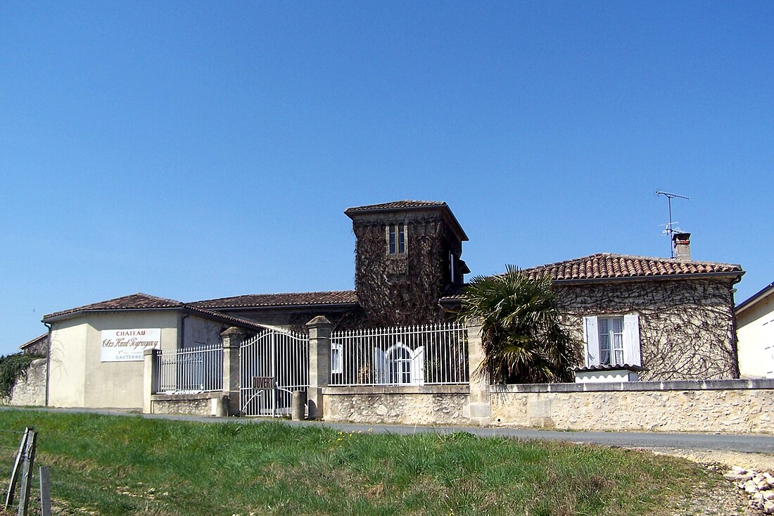 File:Bommes Château Clos Haut-Peyraguey.jpg