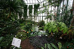 Botanischer Garten Liberec Wikiwand