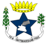Službeni pečat Witmarsuma