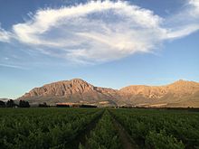 Vista sulle montagne del Breedekloof