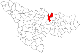 Umístění v Timiș County