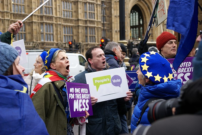 File:Brexit Protests London.jpg