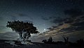 Bristlecone Night GRBA NPS (fb19b933-c506-43d7-9058-165eb51a0f85).jpg