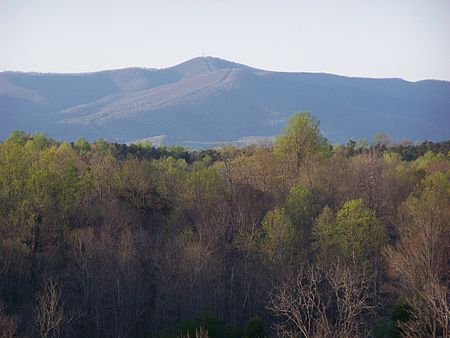 Bull Mountain