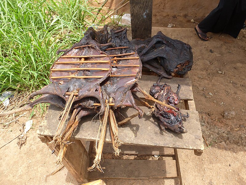 File:Bushmeat - Buschfleisch Ghana.JPG