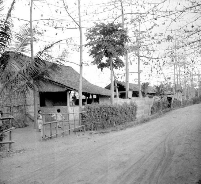 File:COLLECTIE TROPENMUSEUM De Hoofdweg van de kleinlandbouwkolonie Brassan Banyuwangi Oost-Java TMnr 10001424.jpg