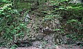 Cades Sandstone (Neoproterozoic; Laurel Creek Road roadcut, Great Smoky Mountains, Tennessee, USA) 1 (36660430400).jpg