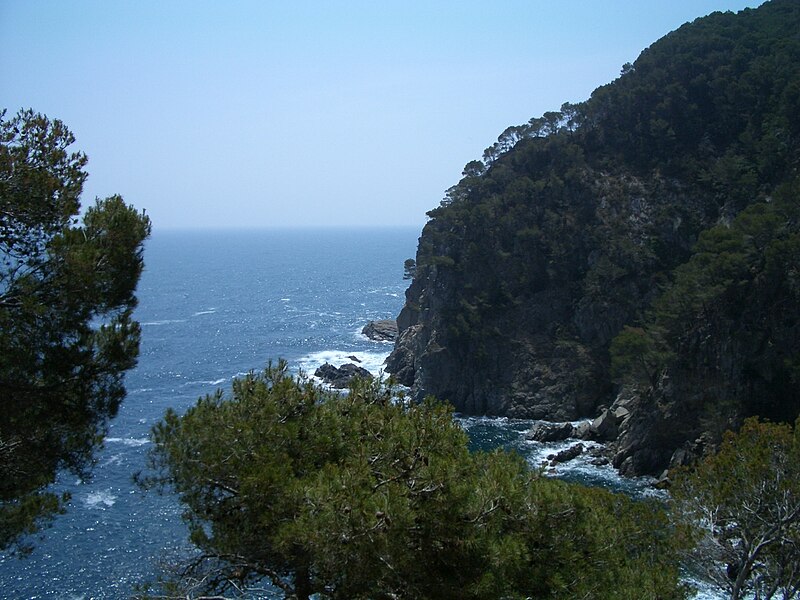 File:Cala Pedrosa (juny 2006) - panoramio.jpg