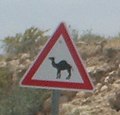 Миниатюра для Файл:Camel-roadsign.jpg