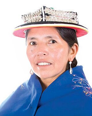 <span class="mw-page-title-main">Carmen García (politician)</span> Bolivian politician (born 1963)