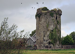 <span class="mw-page-title-main">Boherlahan</span> Village in Munster, Ireland