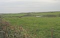 Cattle grazing on land sloping down to a kettle lake - geograph.org.uk - 1036194.jpg