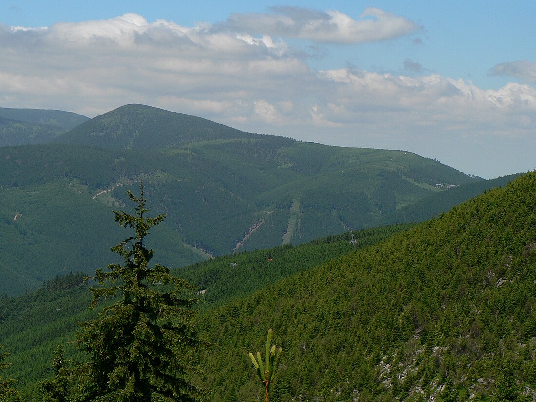 Červená hora (Wysoki Jesionik)