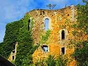 Ruines de l'église des templiers.