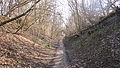 Chemin creux près du Fort Frère, à la limite des trois communes d'Oberhausbergen, Mittelhausbergen et Dingsheim (Bas-Rhin, France), 20. februar 2013, Laurent Jerry