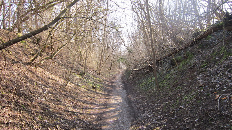 File:Chemin creux près du Fort Frère.JPG