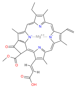 File:Chlorophyll c1.svg