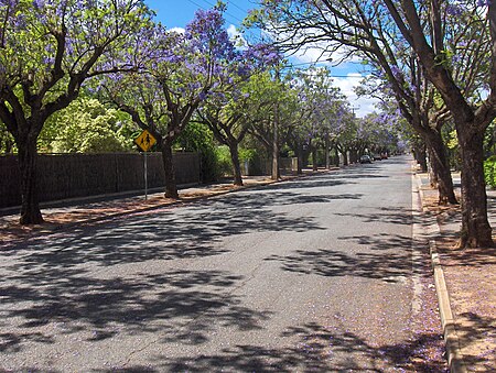 Churchill Avenue, Clarence Park