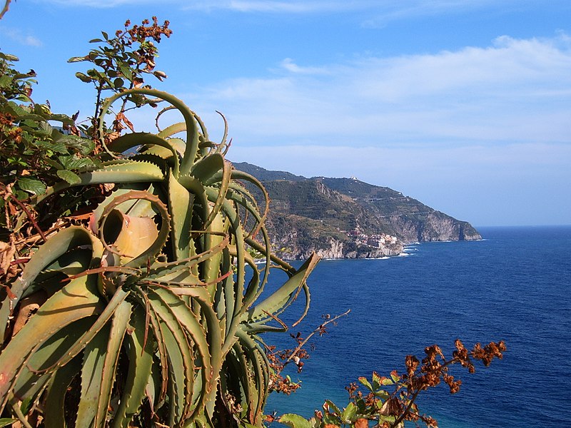 File:Cinque Terre Vista da Corniglia.jpg