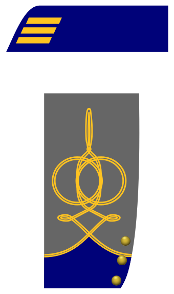 Rank insignia of a CSMC captain