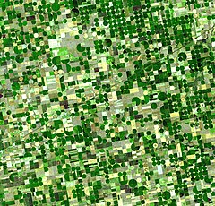 Circular irrigated crop fields in Kansas. Healthy, growing crops of corn and sorghum are green (sorghum may be slightly paler). Wheat is brilliant gold. Fields of brown have been recently harvested and plowed or have lain in fallow for the year. Crops Kansas AST 20010624.jpg