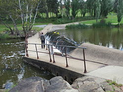 Shared pedestrian/cycle way over the Yass River in Yass, New South Wales, Australia Culverts under yass river walkway weir.JPG