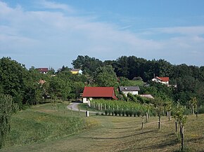 Curnovec, Brežice 04.jpg