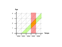 Lexis diagram showing the cohort of 2003-born persons in green, and the year 2005 in red DL CVds 11 V02.png