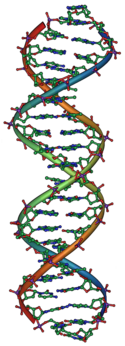 25 July: 355 genes of LUCA found for all organisms living on Earth. DNA Overview2.png