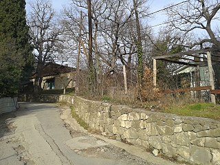 <span class="mw-page-title-main">Danylivka</span> Rural settlement in Crimea