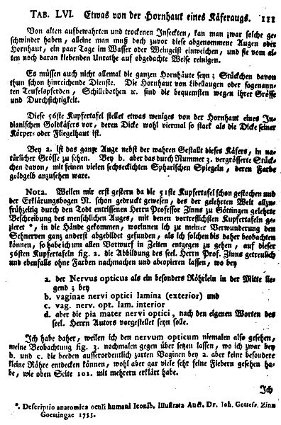 File:De Augen Gemüths (Ledermüller) 166.jpg