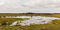 Delleboersterheide – Catspoele Natuurgebied van It Fryske Gea. Omgeving van het heideveld.