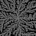 Dendrites zoom.gif