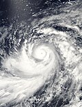 Thumbnail for Typhoon Dianmu (2004)