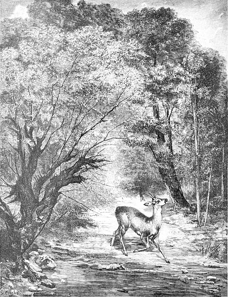 File:Die Gartenlaube (1891) k 12.jpg