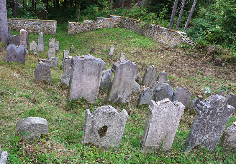 File:Dolní Žandov, Úbočí, Jewish cemetery 5.jpg