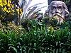 Someone is watching you in the garden near the entrance to the Catacomb of St. Domitilla.