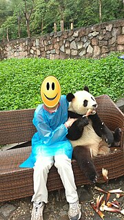 Миниатюра для Файл:Dujiangyan Panda Base photo experience.jpg