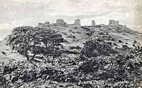 Remains Of Dyserth Castle 1917